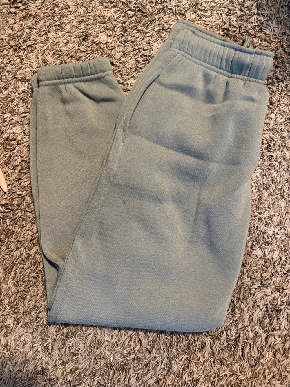 Everyday Fleece Joggers in Sage Green